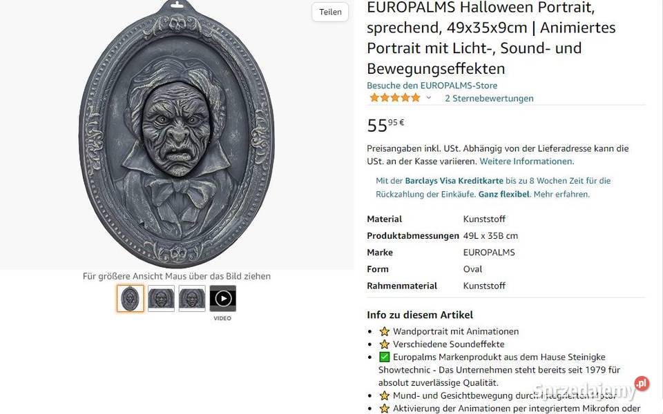 Pozostało 60 X Mówiący portret na Halloween mazowieckie Warszawa