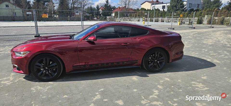 Ford Mustang 37 Automat 306 nieuszkodzony Mustang Książenice