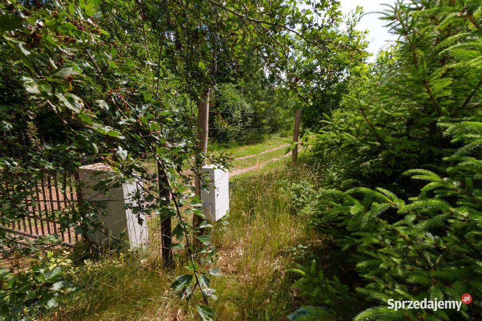 DUŻA DZIAŁKA Budowlana 6835 m2 z projektem i sprzedam
