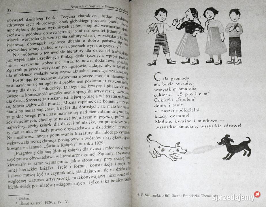 Literatura dzieci i młodzieży w latach 19181939 lubelskie Chełm