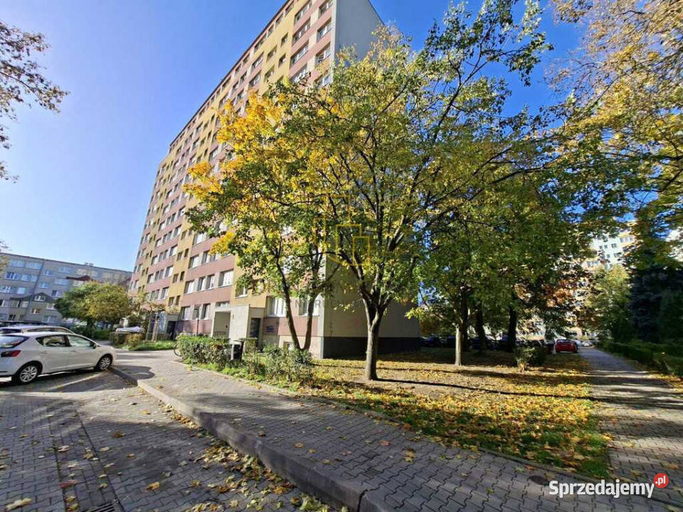 Słoneczne 2pokojowe mieszkanie na start Świetna Piętro 8 dolnośląskie Wrocław