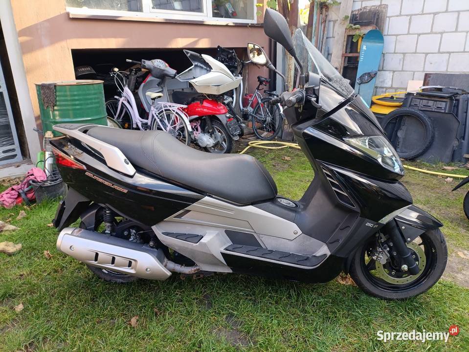 Tell silver blade 250 Yamaha silnik Janów Lubelski