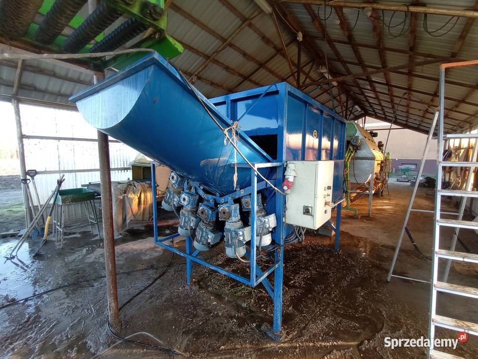 Czyszczarka obrabrabiarka do korzeni selera Goszczanów