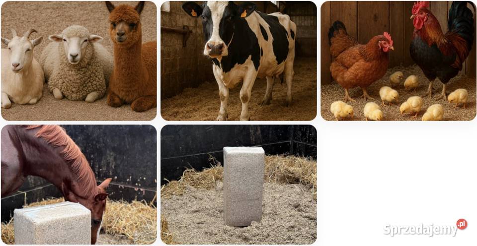 Ściółka zwierząt ściółka lniana opk20 paleta 12 Białystok