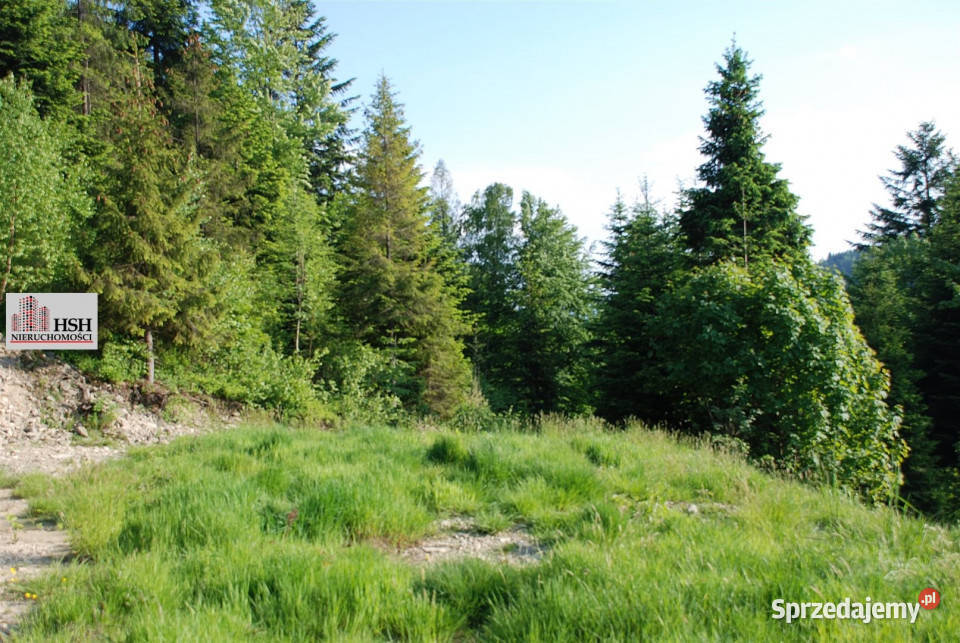 Działka do sprzedania Maków Podhalański 14000m2