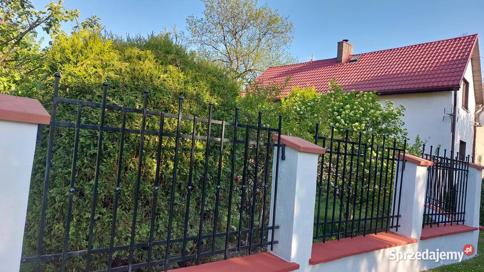 Dom z pięknym ogrodem na sprzedaż Pilszcz