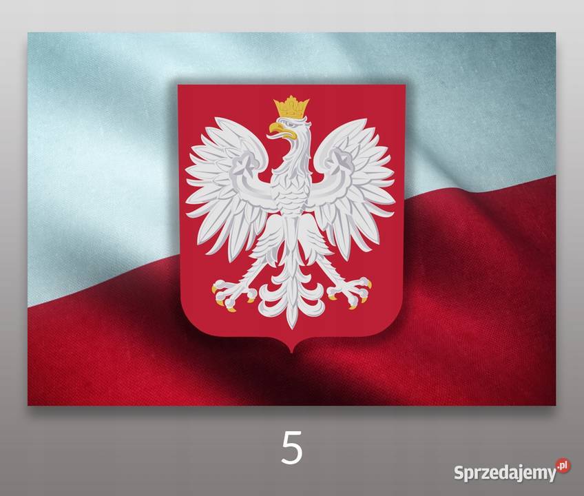 Naklejka Naklejki Polska Godło Orzeł ADR TIR Kobierno sprzedam