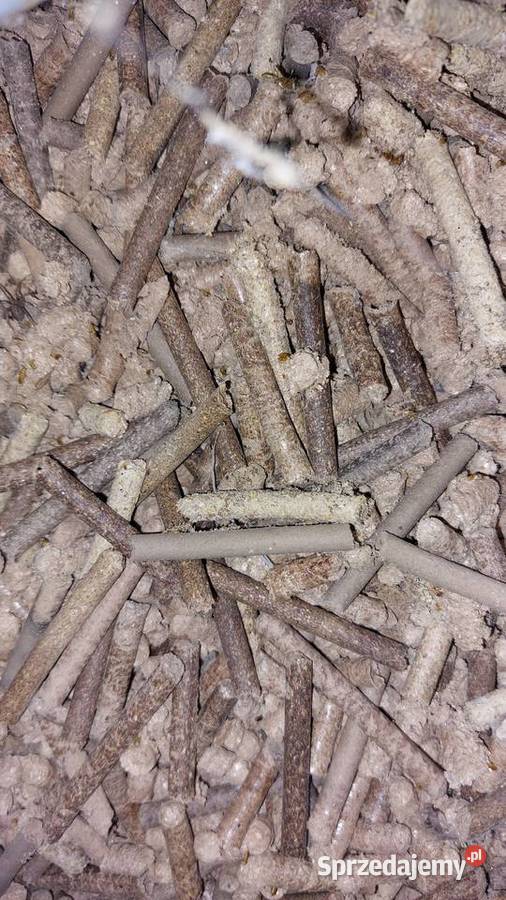 Pellet sosnowy pozostałości podlaskie