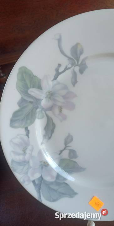 Sosjerka Pomona Else Rosenthal Syg z lat 1901