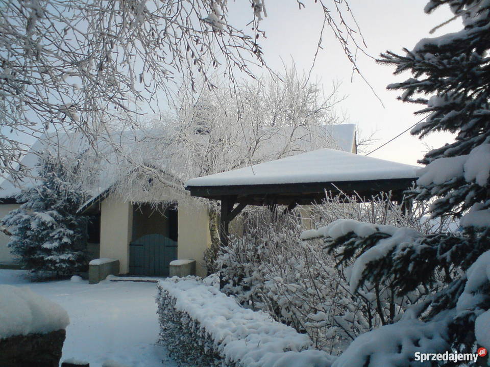 Sprzedam siedlisko Domy Celestyny