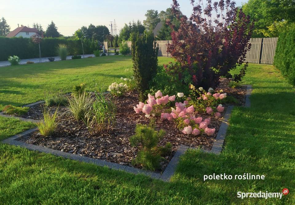 ZESTAW MODERNIZACYJNY SZAMBA na Oczyszczalnie Warszawa sprzedam