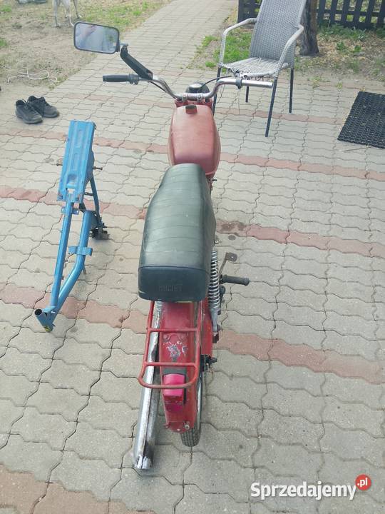 Ogar kujawsko-pomorskie Toruń sprzedam