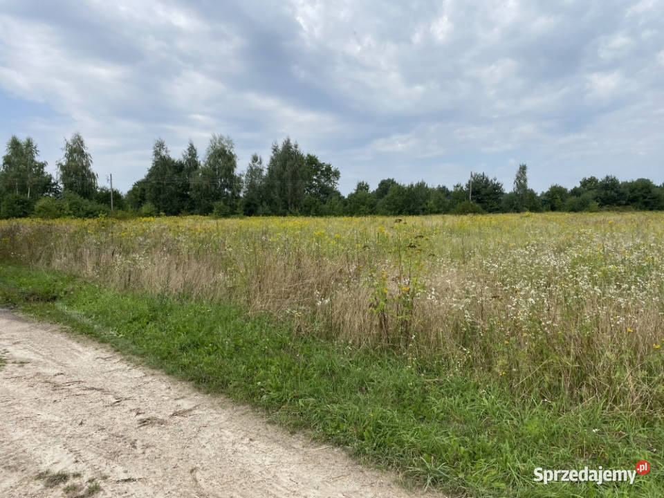 Działka inwestycyjna pod usługi 18 centrum Kazimierz Dolny sprzedam