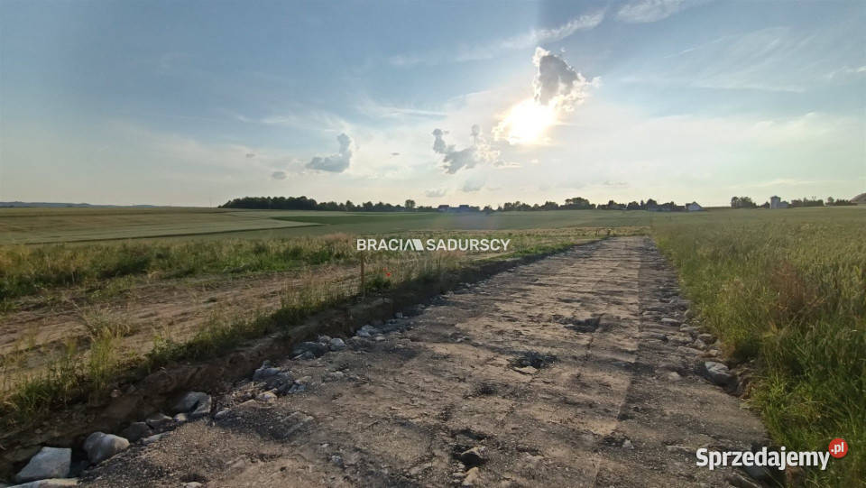 Działkę sprzedam 2503m2 Sieciechowice Długa sprzedam