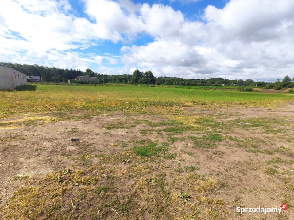 Syndyk sprzeda nieruchomość zabudowaną Nowa Wieś