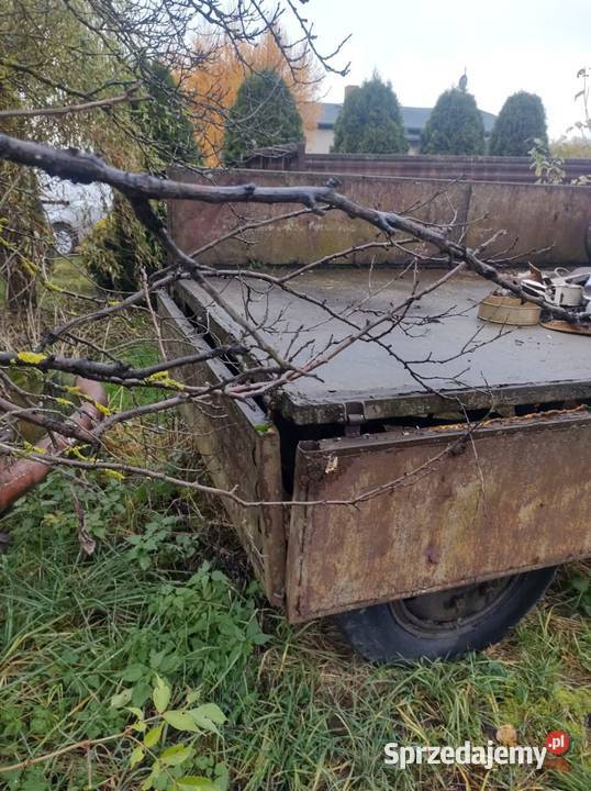 Przyczepa D44 produkcji 1972 Przyczepy rolnicze Nasiegniewo