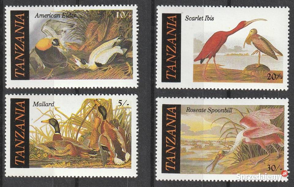 TANZANIA PTAKI CZYSTE Łódź