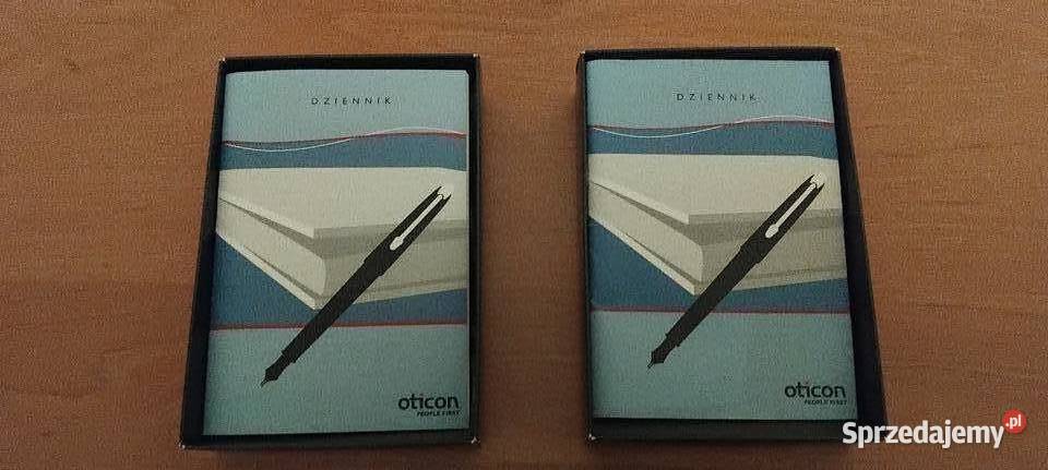 APARAT SŁUCHOWY ZAUSZNY OTICON EGO BTE P Urządzenia Łosień