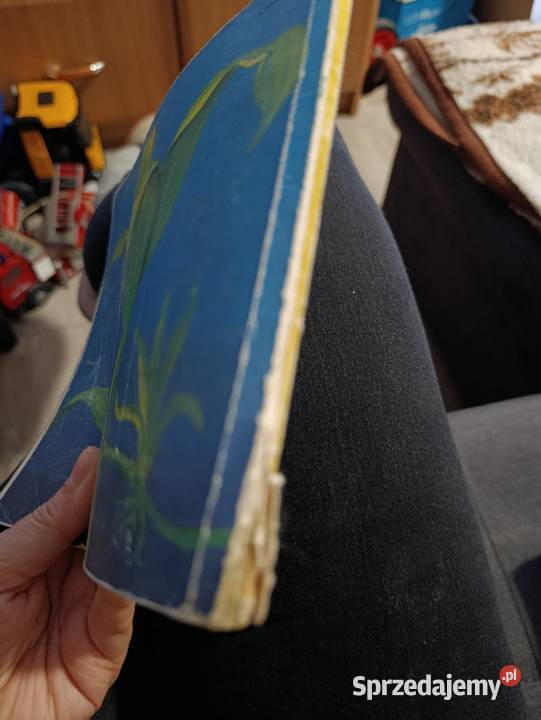 Akwarium i jego mieszkańcy autorstwa Mirosława wielkopolskie Poznań sprzedam