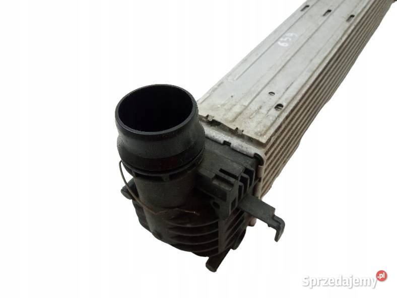 INTERCOOLER CHŁODNICA 19 DCI Renault Scenic III świętokrzyskie sprzedam