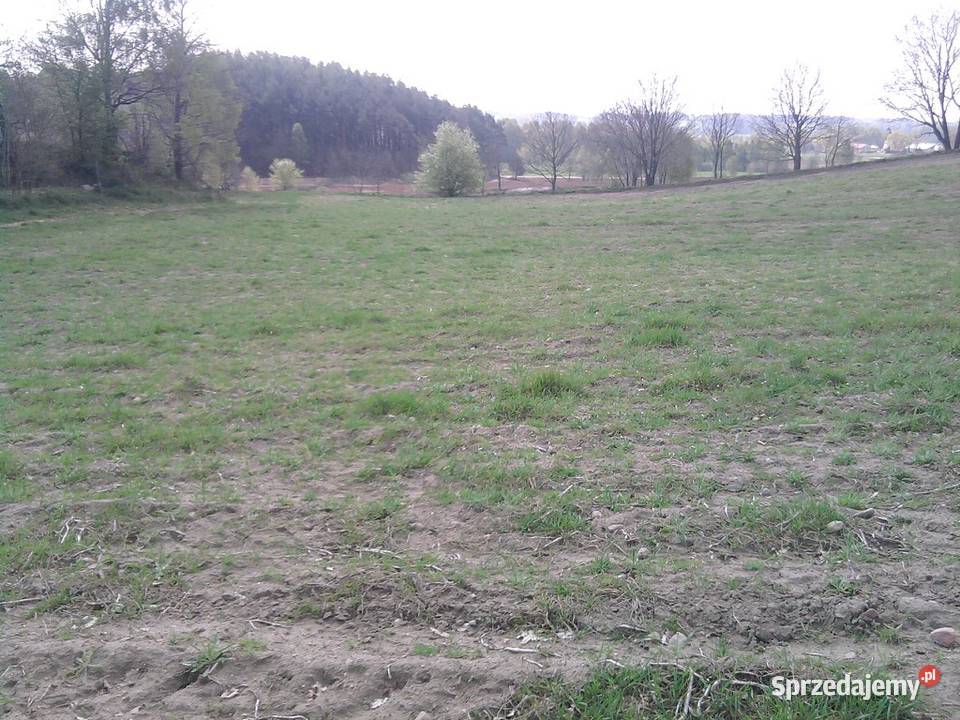 Kaszuby działki budowlane jezioremSierakowice 4 pomorskie Łyśniewo Sierakowickie