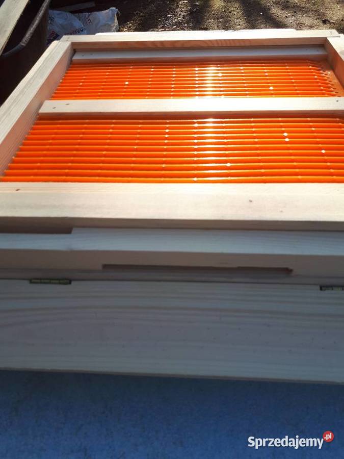 Ule wielkopolskie dennica z poławiaczem pyłku Tanina