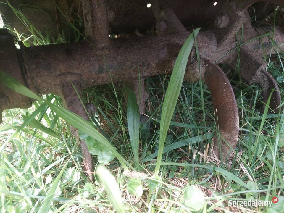 Glebogryzarka 12m zaczep 3 punktowy Blizne