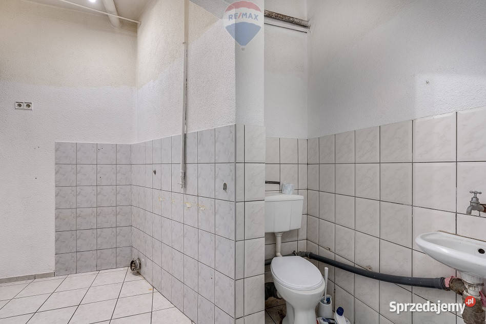 3 pok przyziemie Łazarz Wynajem Poznań