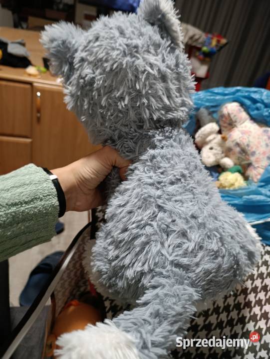 pies maskotka pluszak zabawka pluszowa Poznań