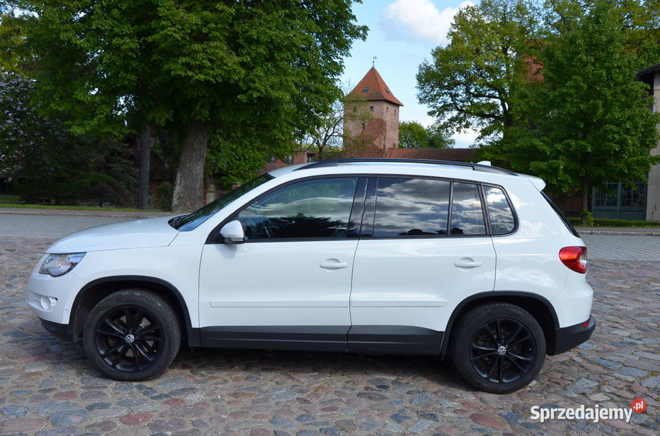 Volkswagen Tiguan 20TDI DSG BEZWYPADKOWY drugi 282055km Tiguan Malbork