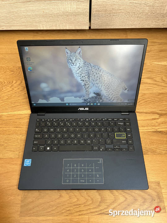 Asus E410M 14 NOWA BATERIA Lekki Mobilny Windows świętokrzyskie Święta Katarzyna