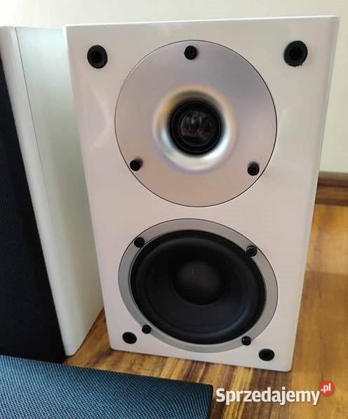 Kolumny podstawkowe Wilson Raptor Mini gwarancja lubuskie