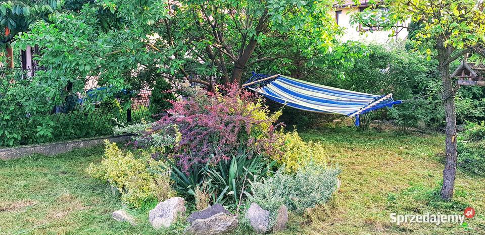 Ogródek działkowy Czeladź Piaski kostka