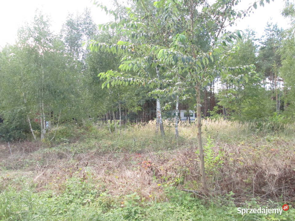 Działka jeziorem Chańcza Sprzedaż świętokrzyskie