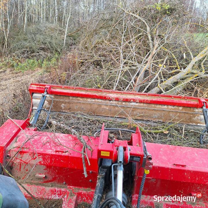 Czyszczenie działek