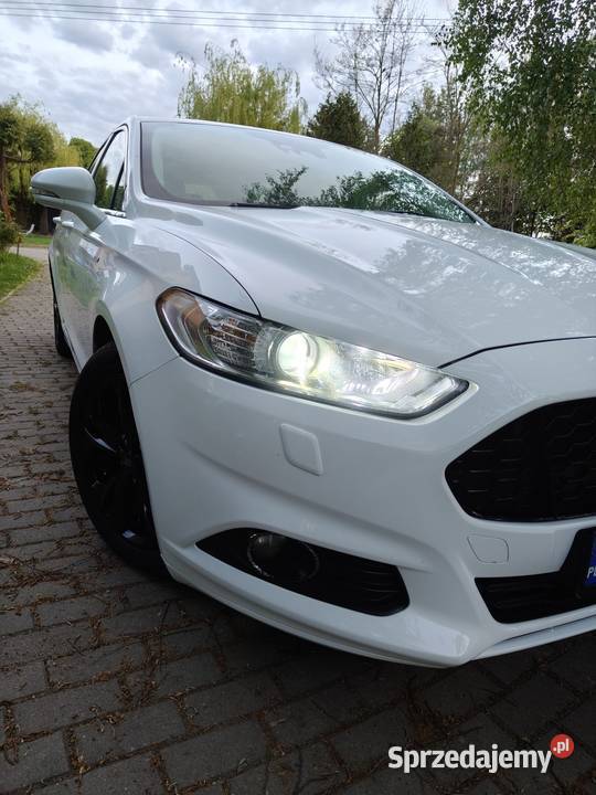 Mondeo mk5 Pszczółki