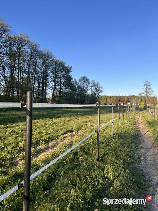 Solidne mocne i trwałe Słupki do ogrodzeń do Piaseczno