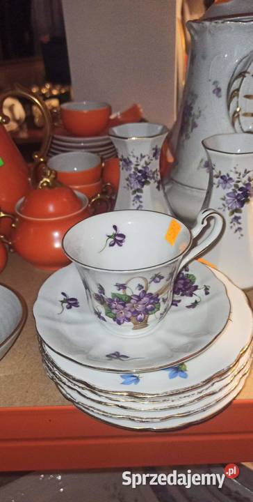 Fiołki Filiżanka Syg Rheinpfalz Germany Biała Gdańsk