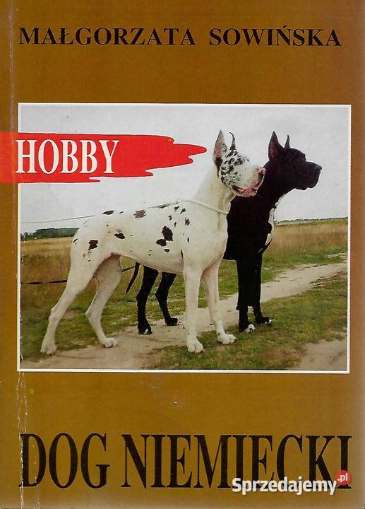 Dog niemiecki M Sowińska Rok wydania 1993 Puławy