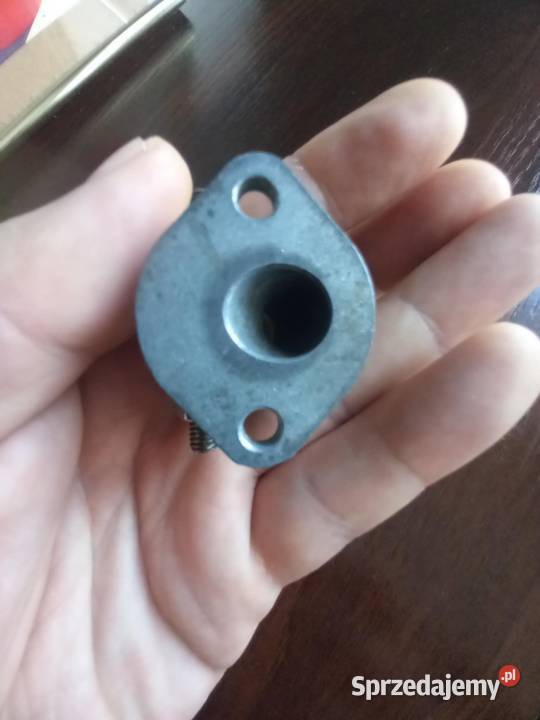 Kruciec zak rys Sokołów Podlaski