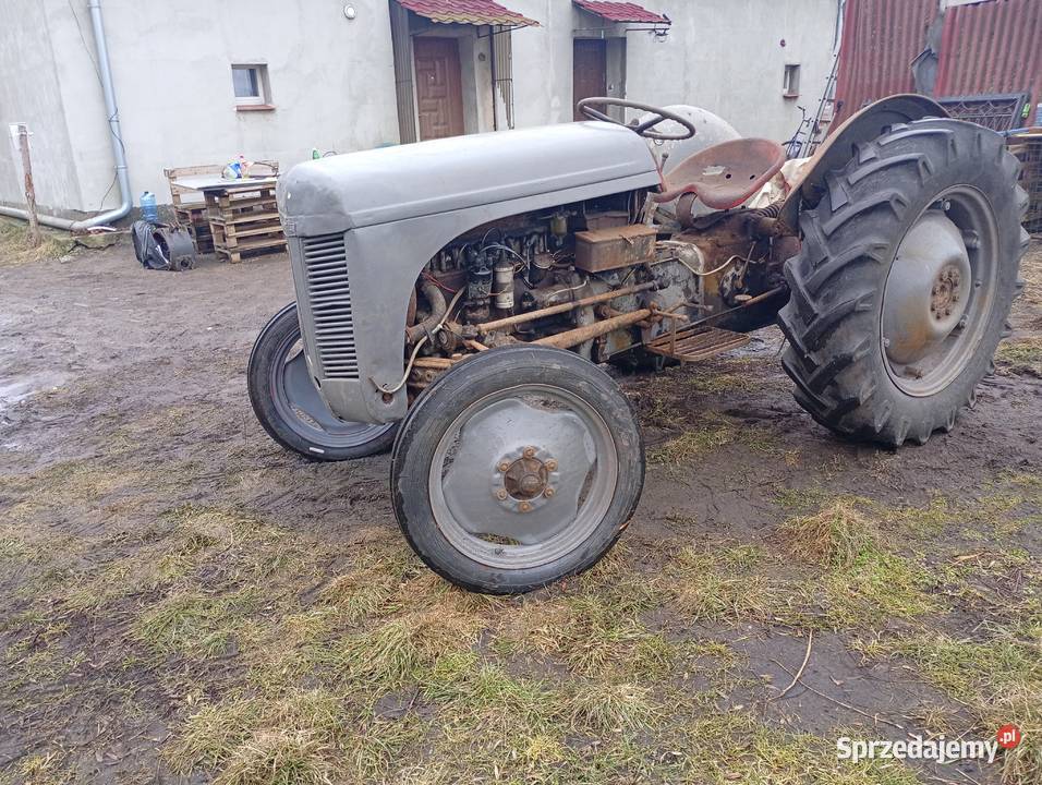 Sprzedam Fergusona TEA 20 w Rolnictwo Gniezno