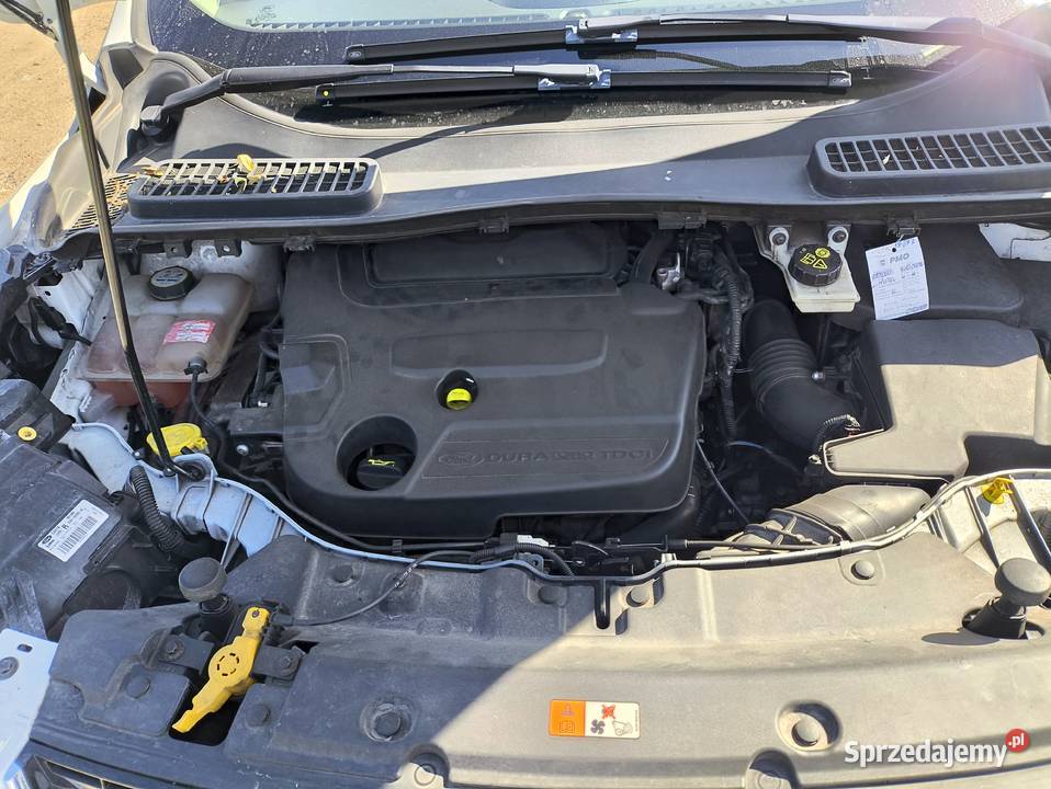 Ford Kuga 2013r 20 163 Kuga