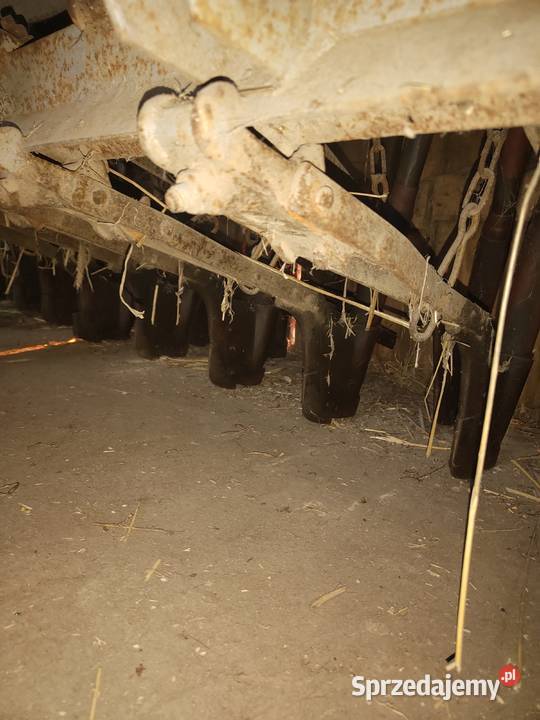 Sprzedam siewnik zbożowy poznaniak Krzywiń