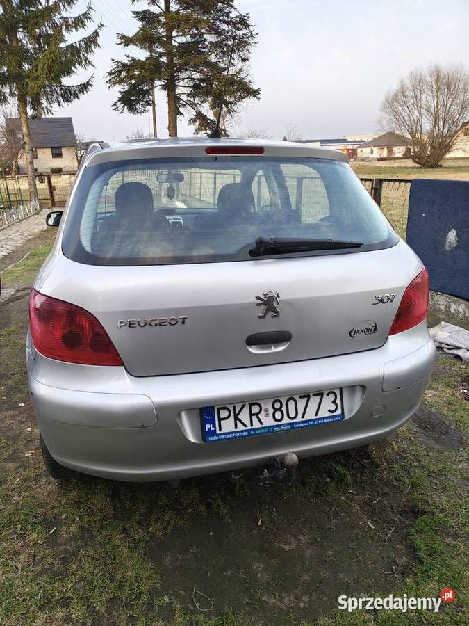 Peugeot 307 wielkopolskie Kobylin