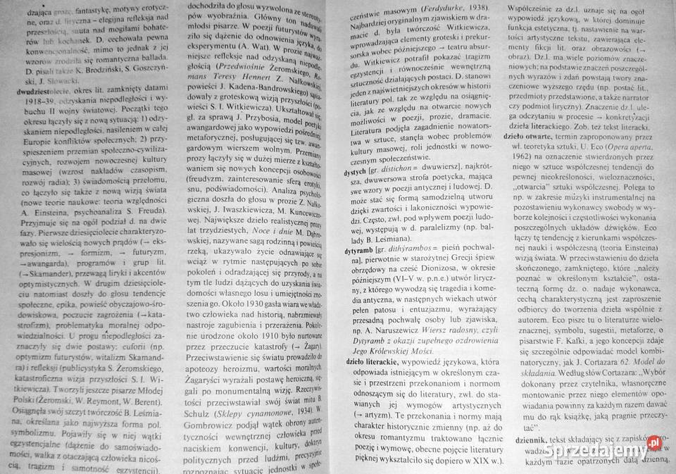 Terminy literackie Stanisław Jaworski Chełm