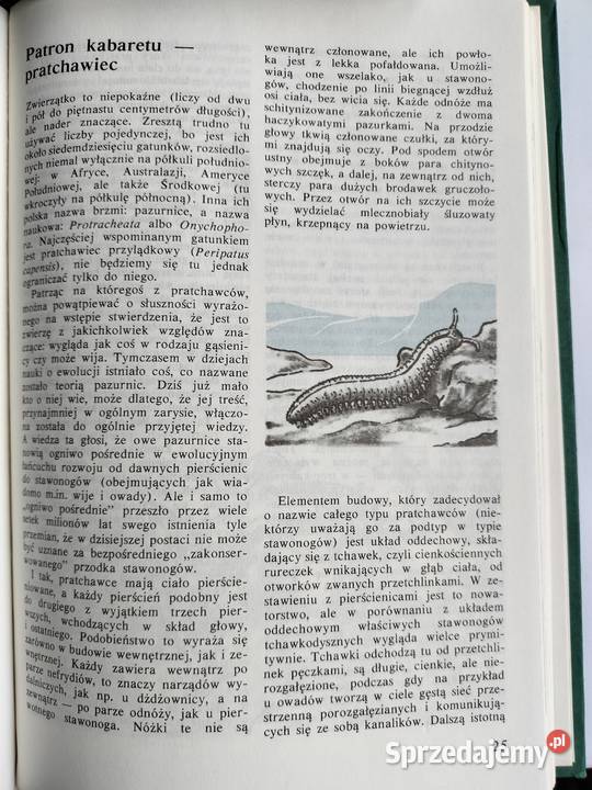 Przystosowani pożyją dłużej Zuzanna Stromenger Gdynia sprzedam