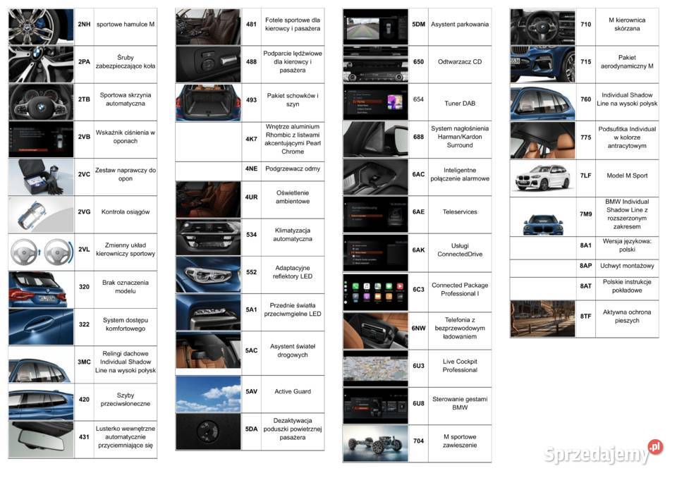 BMW X3 30i xDrive 252 bogate wyposażenie folia Międzyrzec Podlaski sprzedam