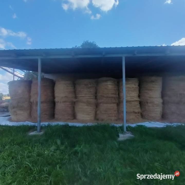 Sprzedam Siano i Słomę Żytnią Owsiankę 120120 lubelskie Szóstka
