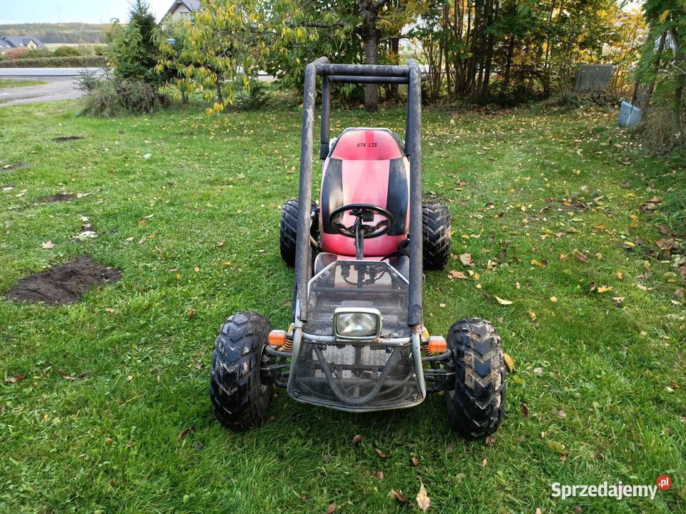BUGGY Adly ATK 125 quad gokard 1253 Oryginalnej pomorskie Kartuzy sprzedam