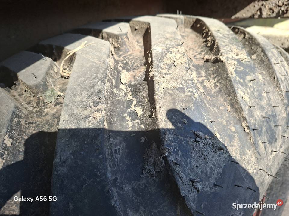 Przyczepa Legrand skorupa wywrotka wielkopolskie Września